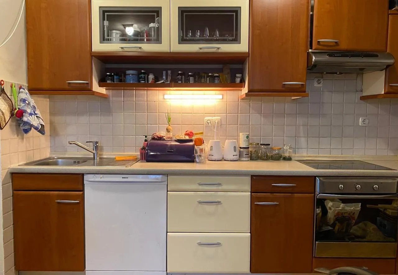 Homestay V Zmajevem Gnezdu Apartment Ljubljana