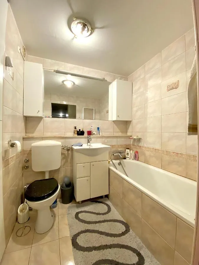 V Zmajevem Gnezdu Apartment Ljubljana Homestay